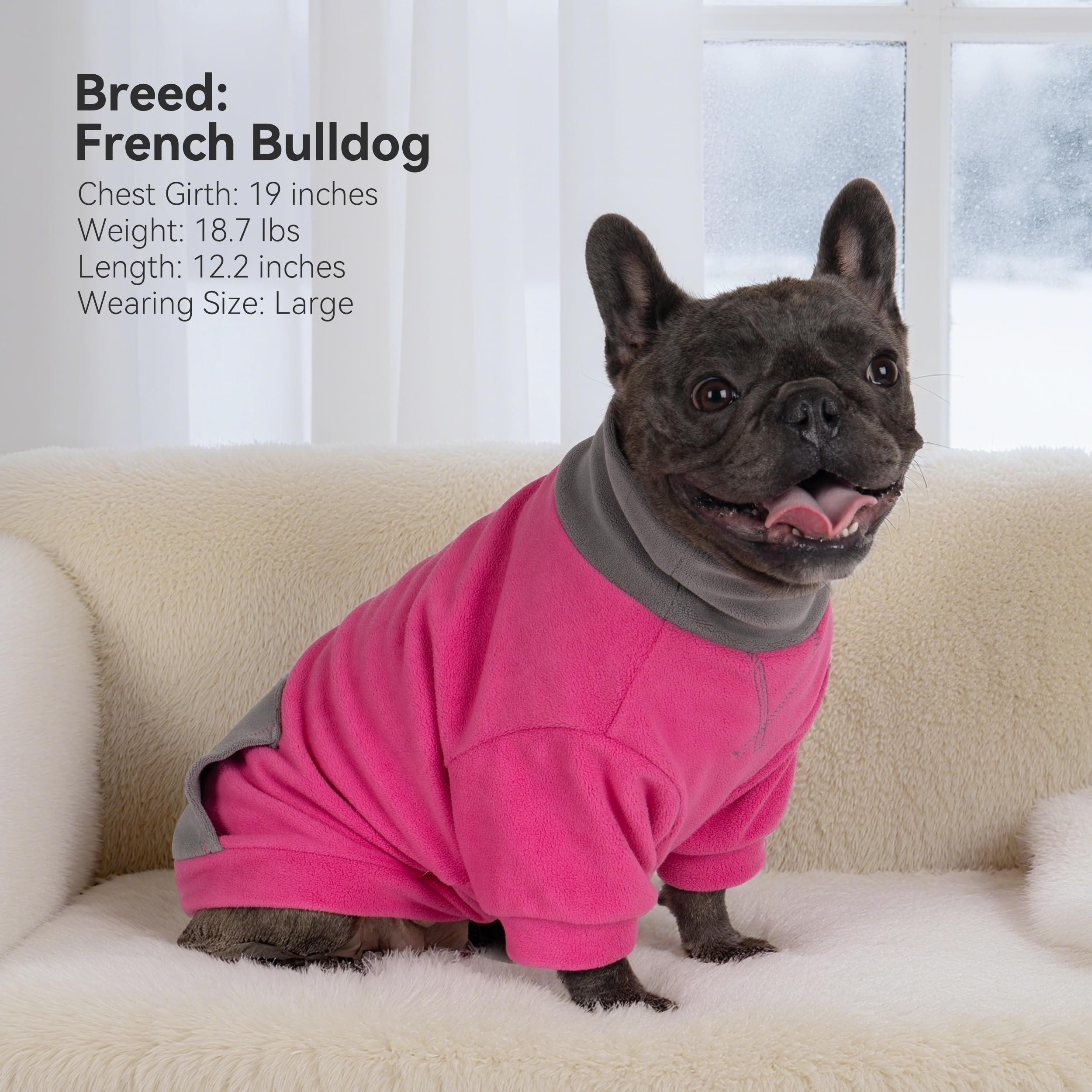 Cyeollo resistente al pilling, sudadera para perro.