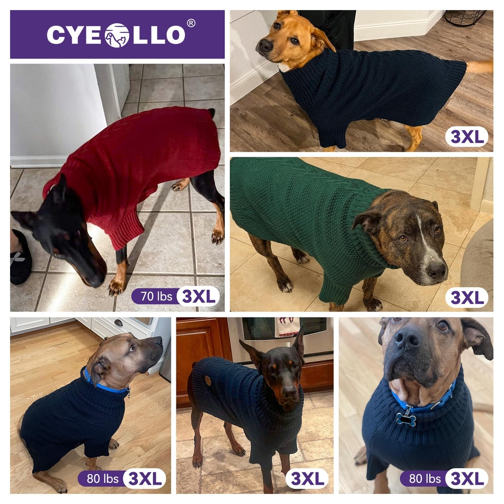 Etiqueta de cuero con marca cyeollo en la sudadera 4XL