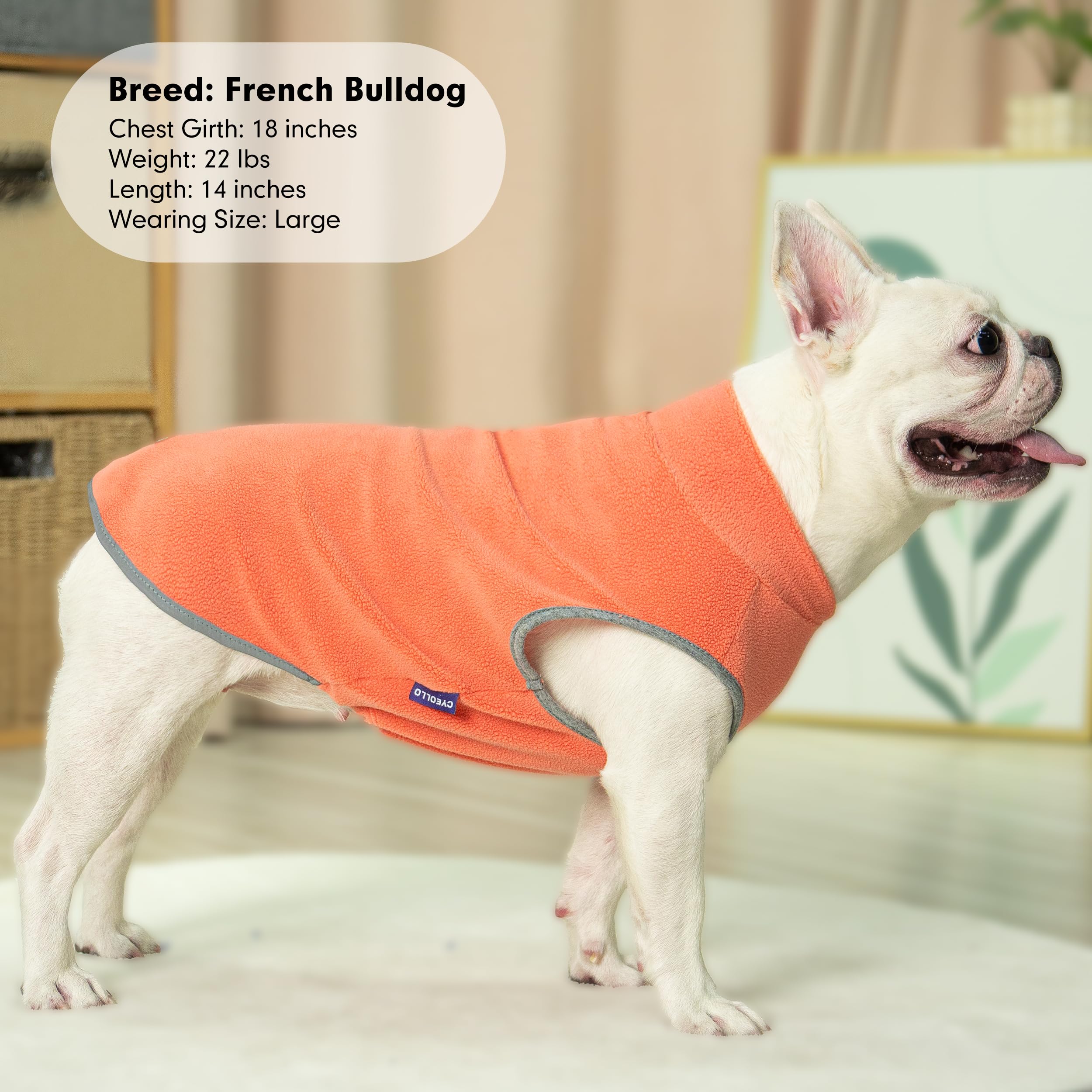 Ajuste seguro cyeollo, chaleco para perros con diferentes tallas