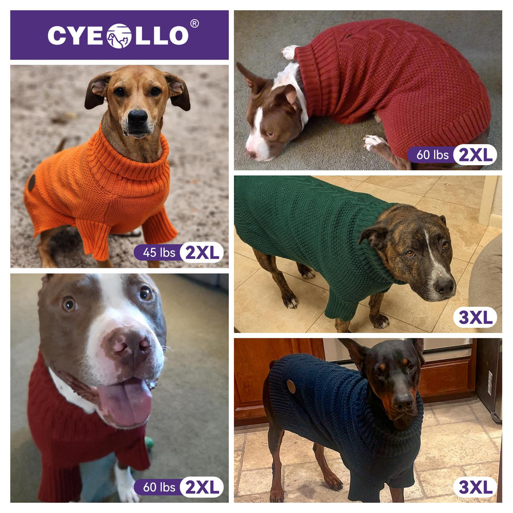 Sudadera cyeollo con ajuste elástico; se adapta a cuerpos grandes