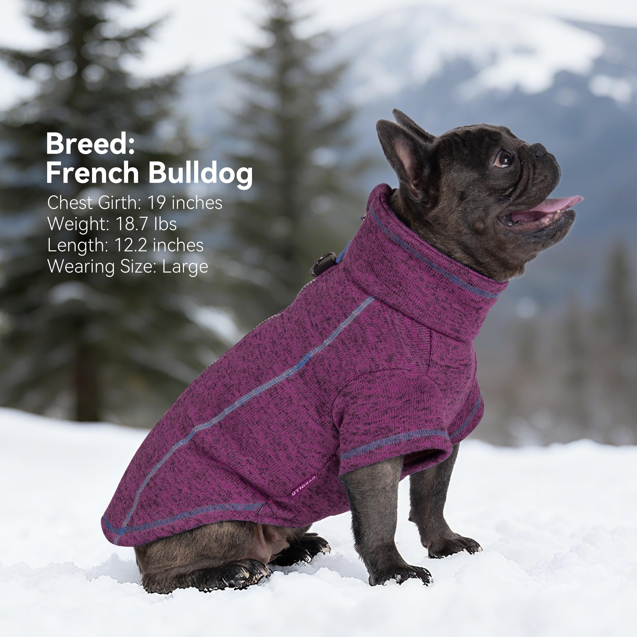 Sudadera cyeollo morada para perros, estilo y comodidad