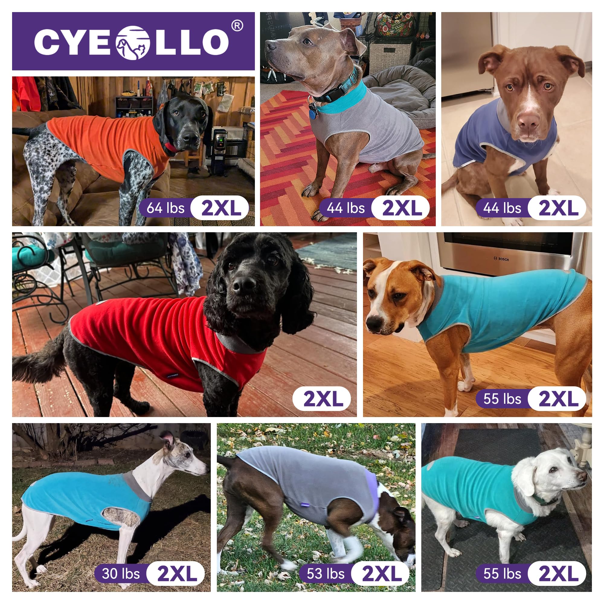 Conjunto de dos colores de sudadera cyeollo para perros grandes con estilo.