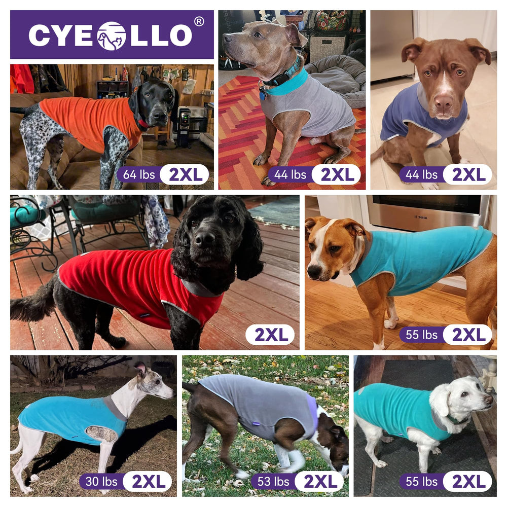 Conjunto de dos colores de sudadera cyeollo para perros grandes con estilo.