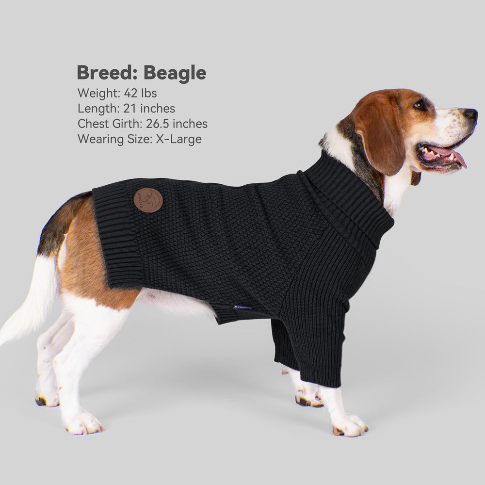 Cyeollo con cuello alto y mangas, suéter cómodo para perro en días fríos.