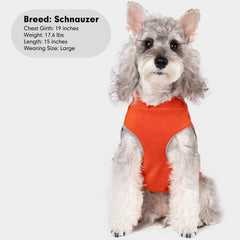 Sudadera de doble color cyeollo para perros, naranja y rojo
