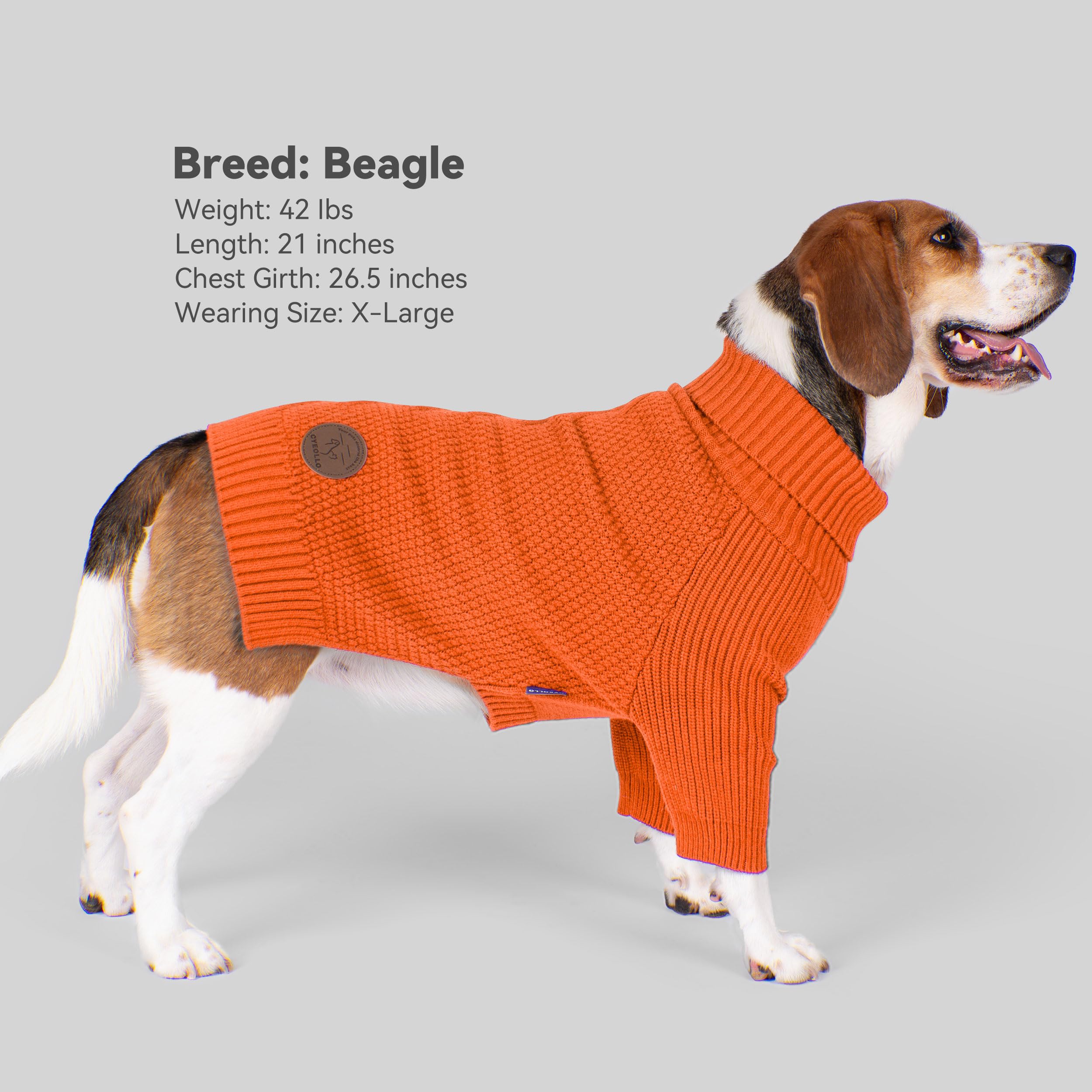 Color naranja sólido de la sudadera cyeollo fácil de combinar en invierno