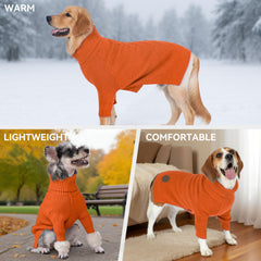 Etiqueta de cuero y diseño elegante en la sudadera para perros grandes cyeollo
