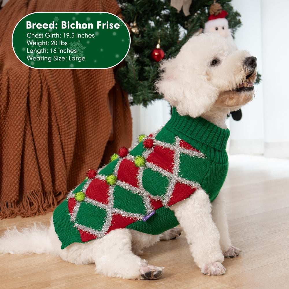 Uso exterior de la sudadera cyeollo para perro verde xxxl, perfecta para salidas festivas al aire libre.