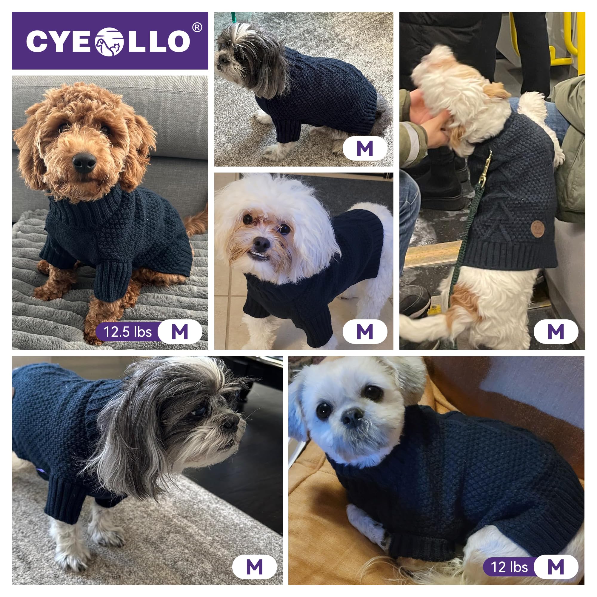 Color azul marino y diseño clásico de la sudadera cyeollo para perro pequeño.
