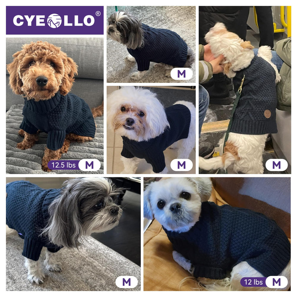 Color azul marino y diseño clásico de la sudadera cyeollo para perro pequeño.