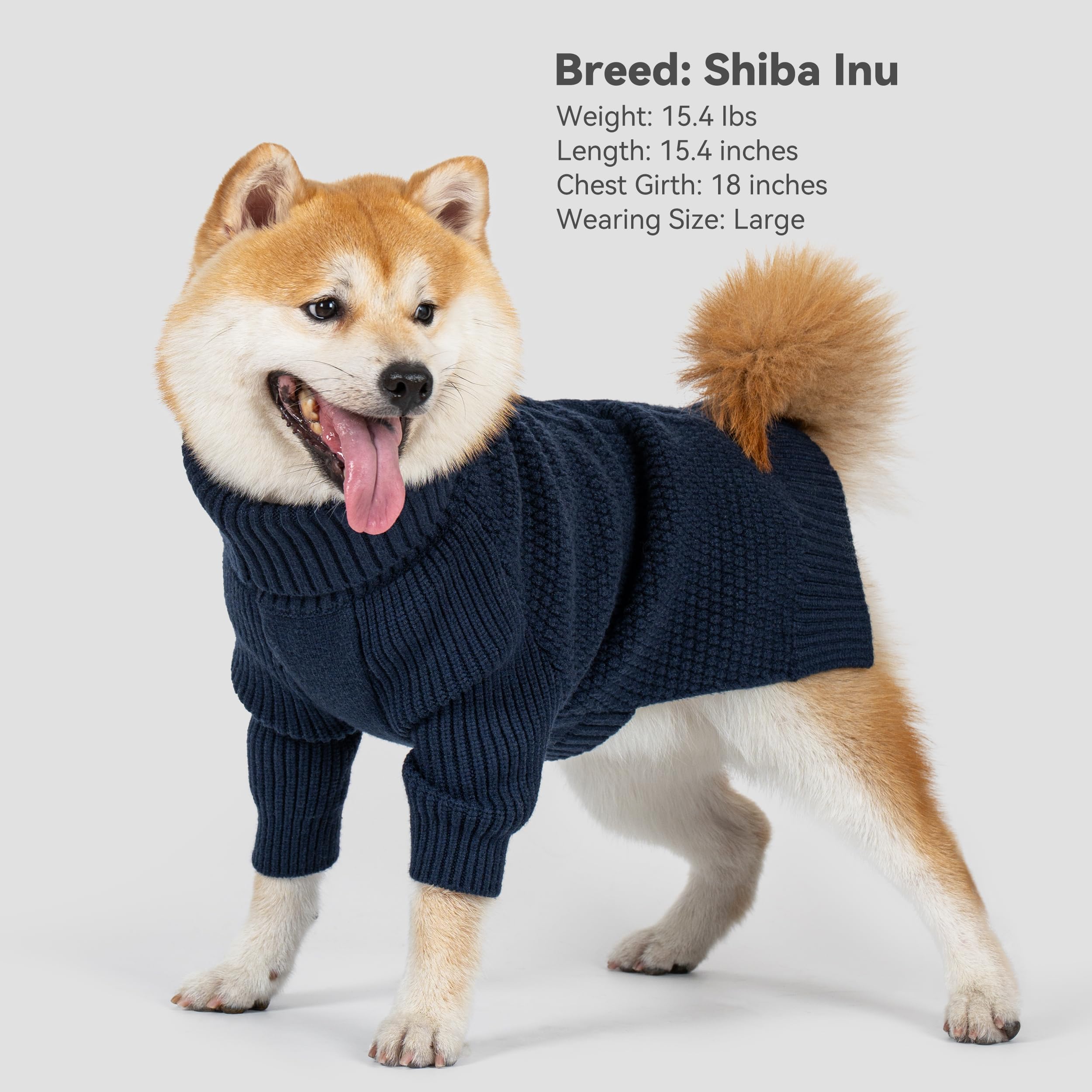 Sudadera cyeollo con cuello alto y mangas para cobertura total.