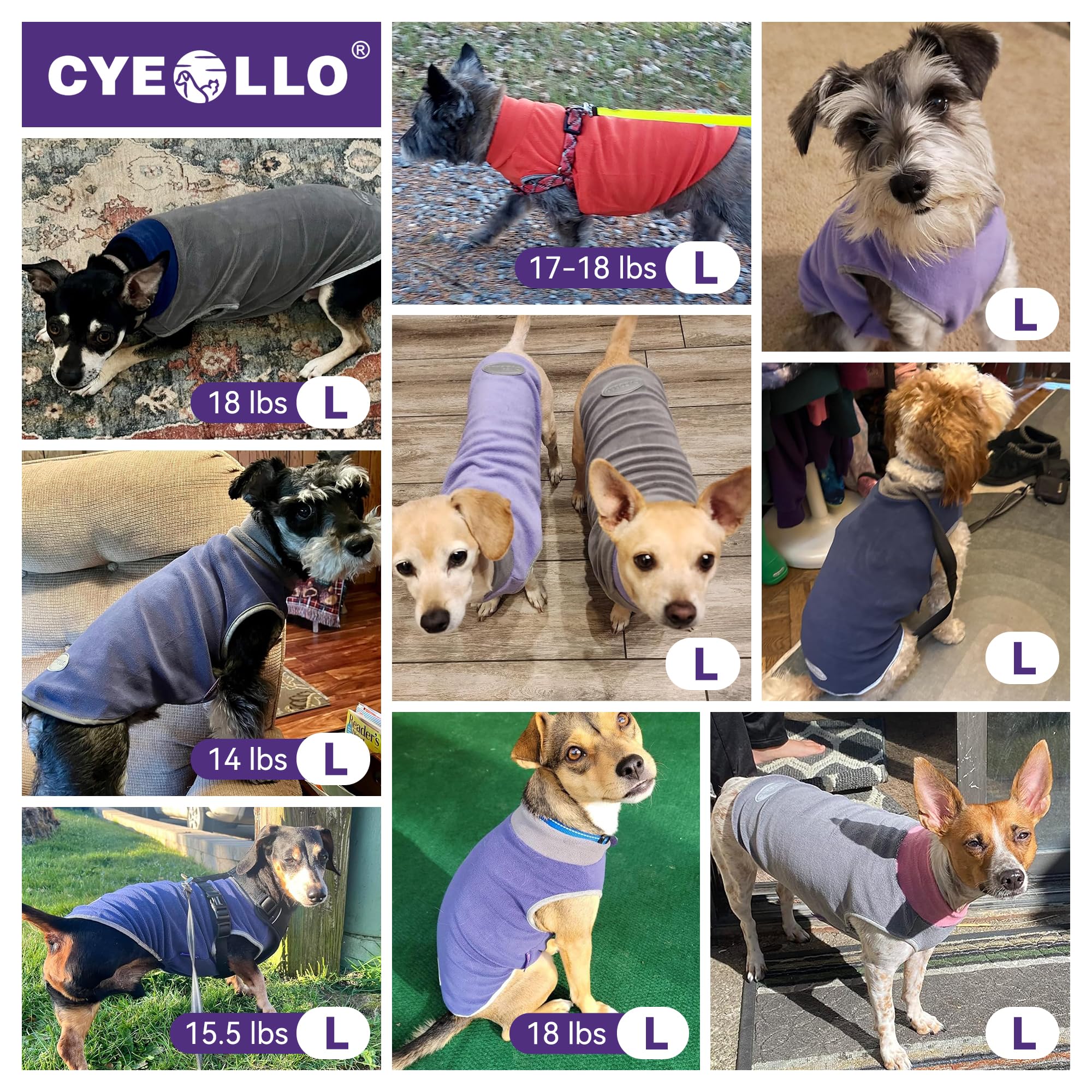 Fleece suave de cyeollo que acompaña paseos y juegos.