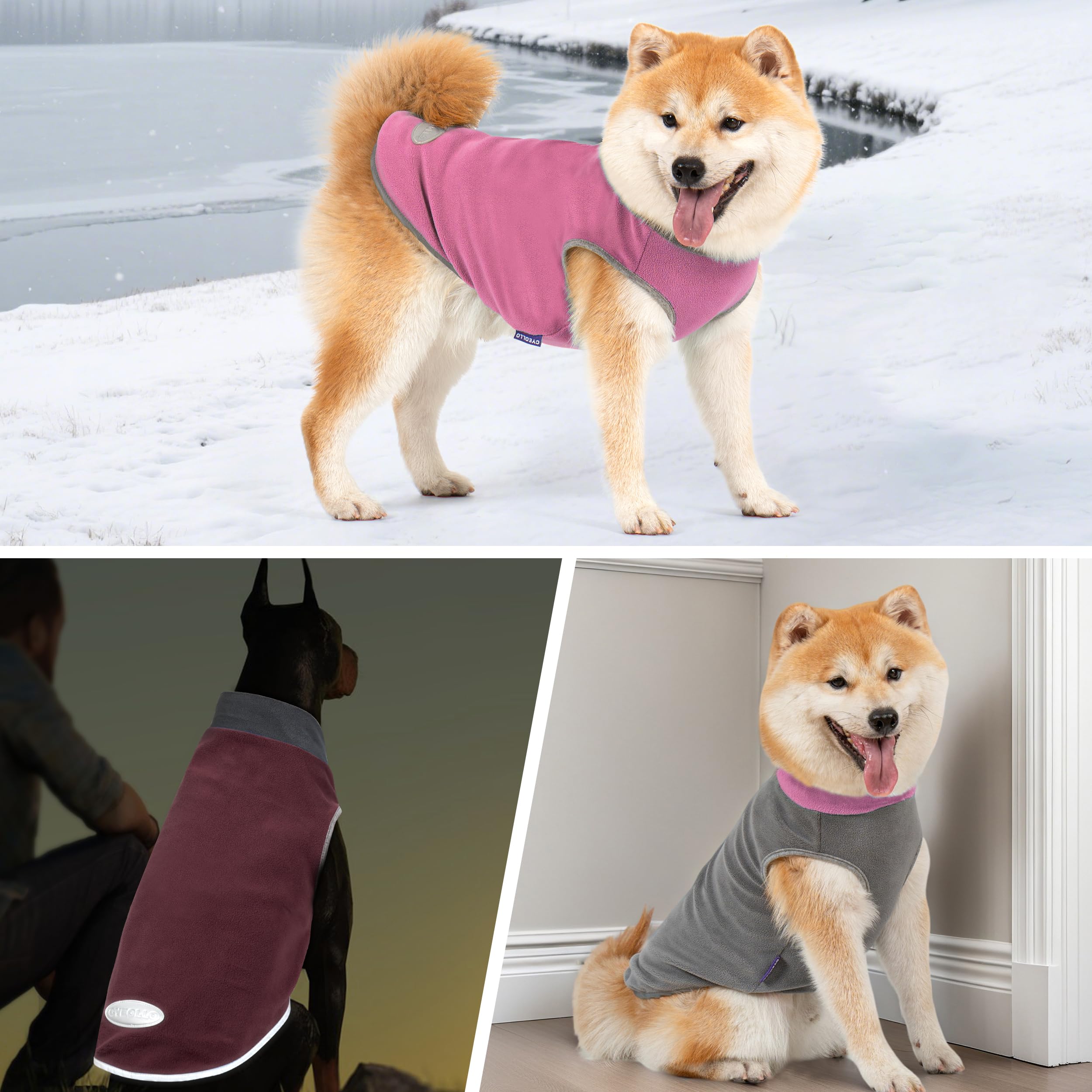 Uso interior y exterior: sudadera de forro polar Cyeollo para perro cómodo.