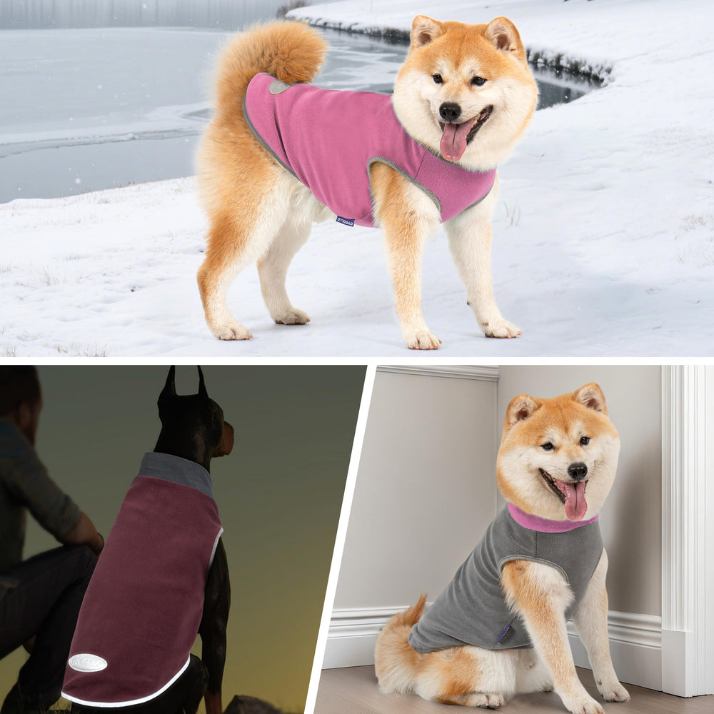 Uso interior y exterior: sudadera de forro polar Cyeollo para perro cómodo.