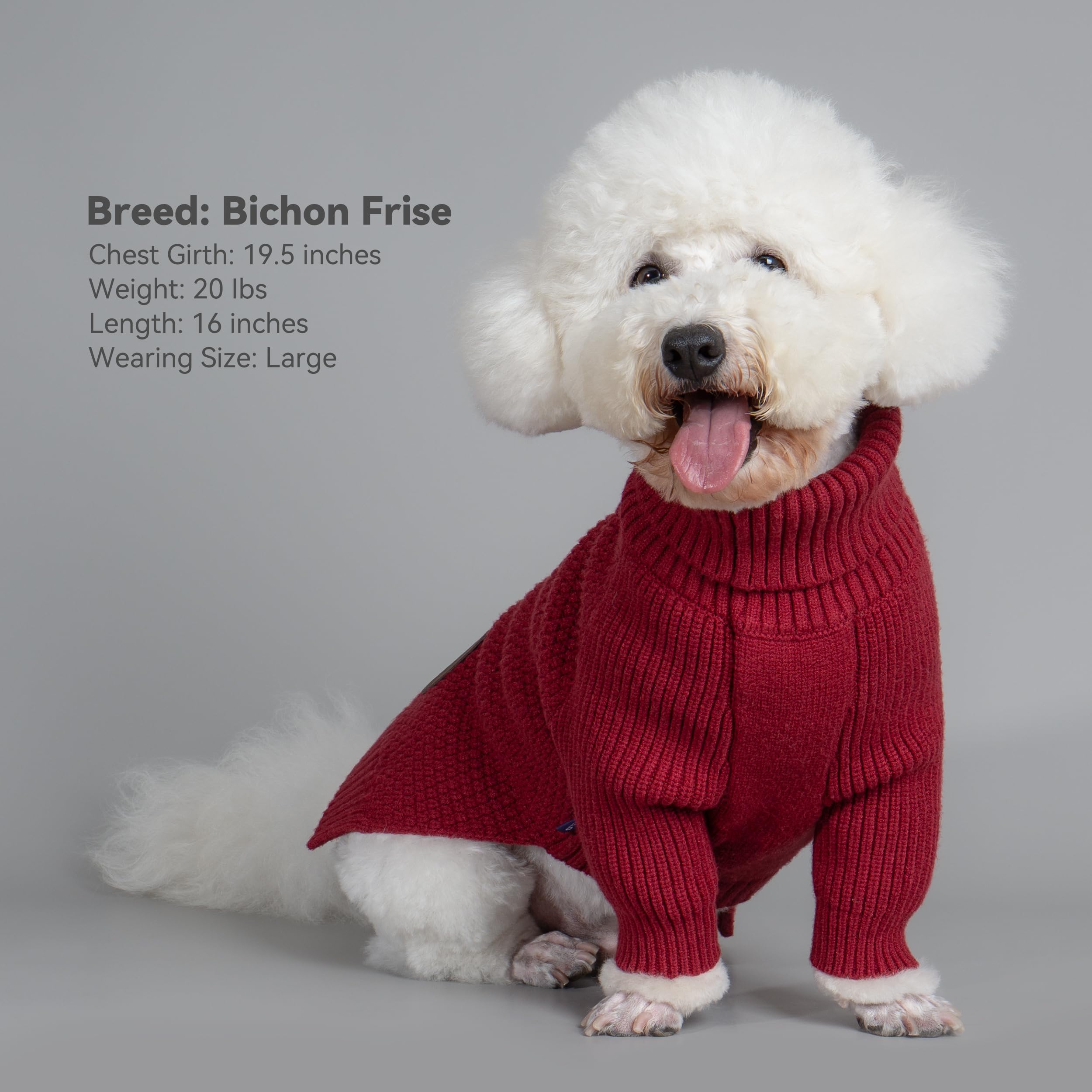 Suéter de punto burdeos cyeollo para perros grandes, ideal para clima frío.