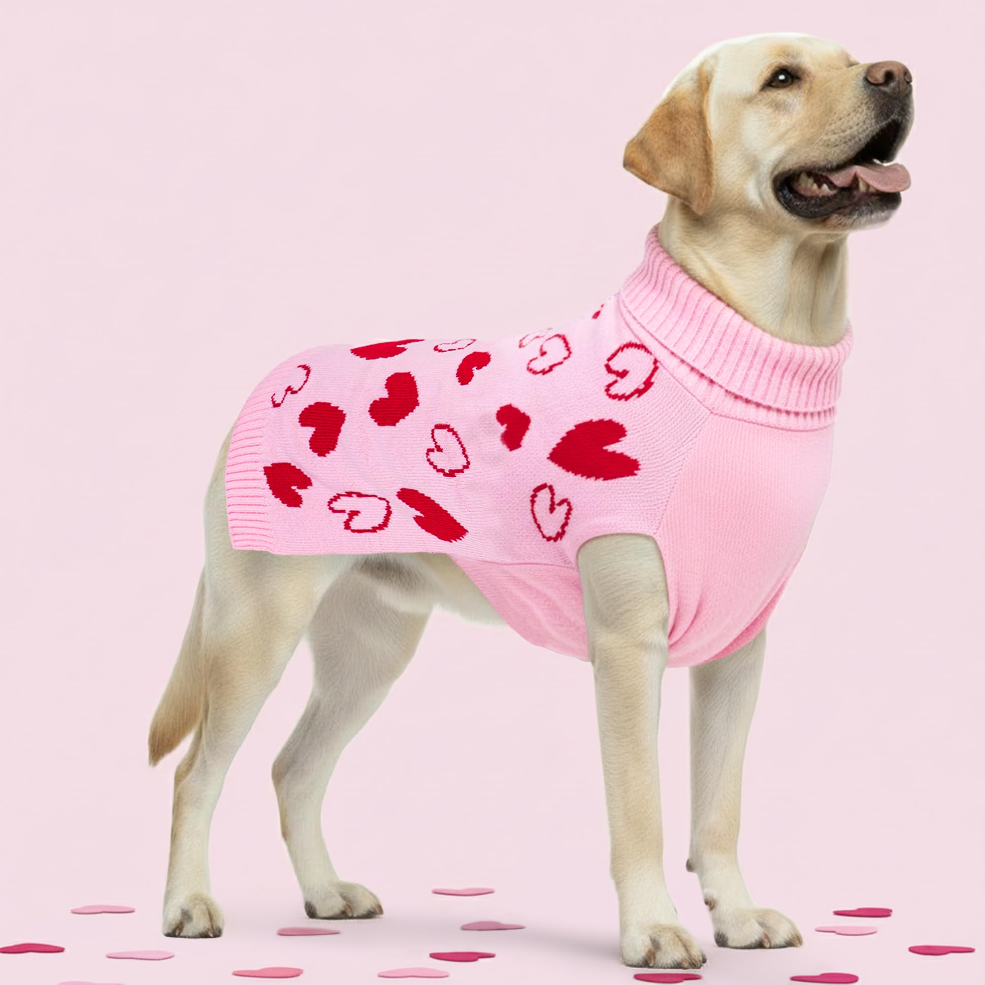 Diseño rosa de cyeollo para paseos y fotos