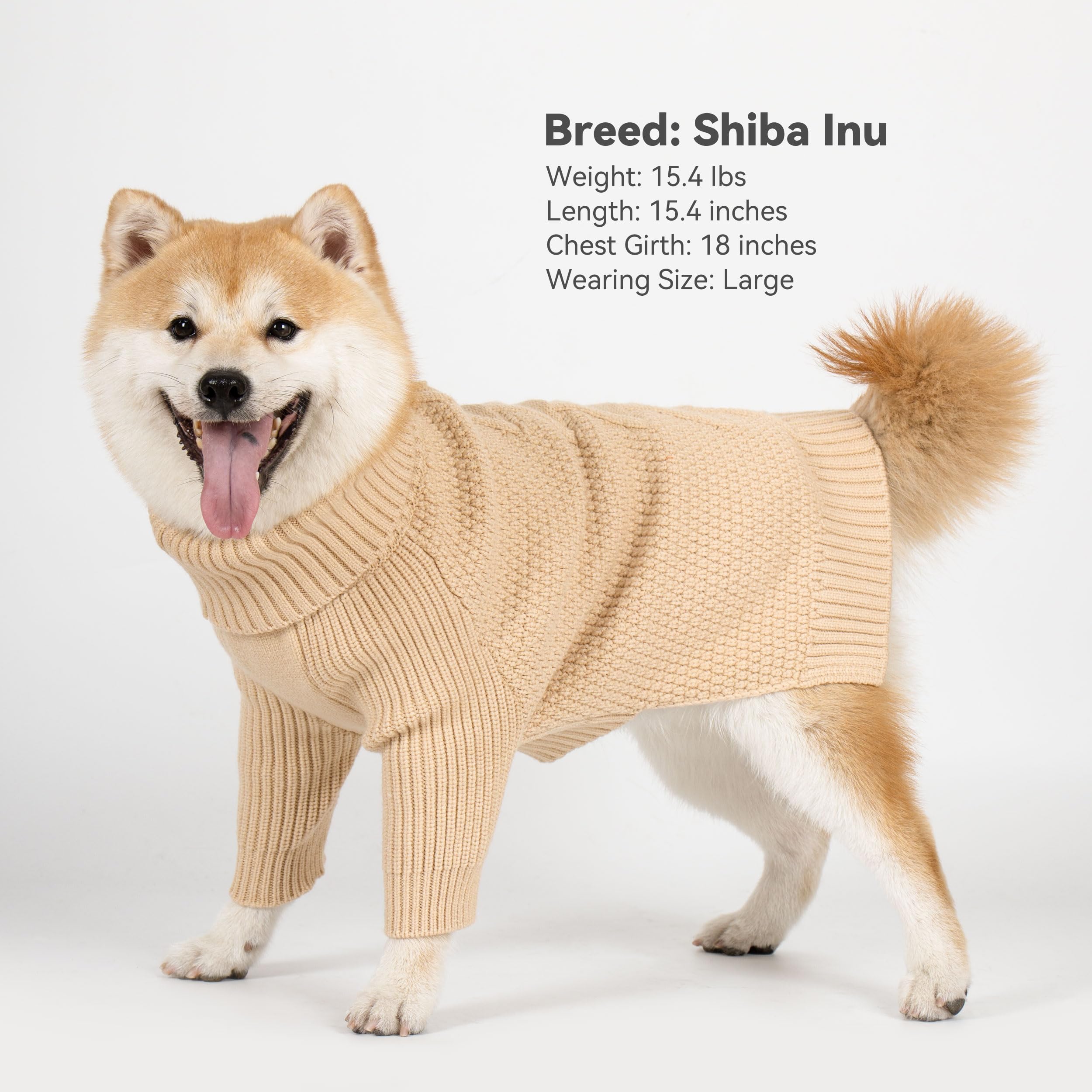 cyeollo suéter perro beige estilo clásico: uso diario.