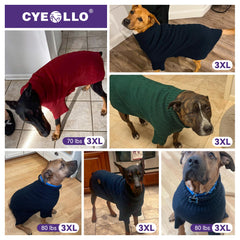 Cobertura del cuello y patas para mantener el calor sin restringir movimientos.