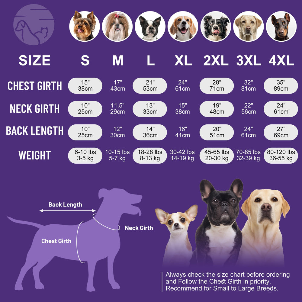 Cyeollo sueter uso diario gris M, perfecto para paseos fríos.