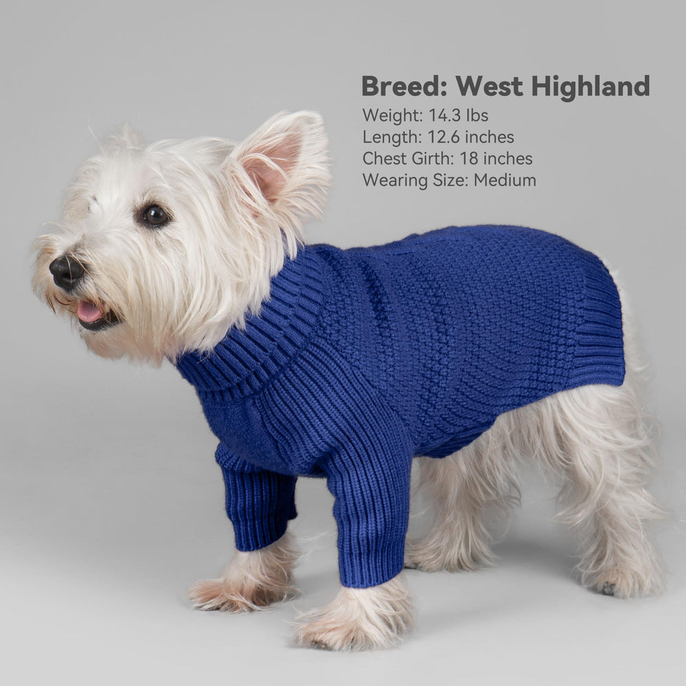 etiqueta de cuero en el suéter canino cyeollo