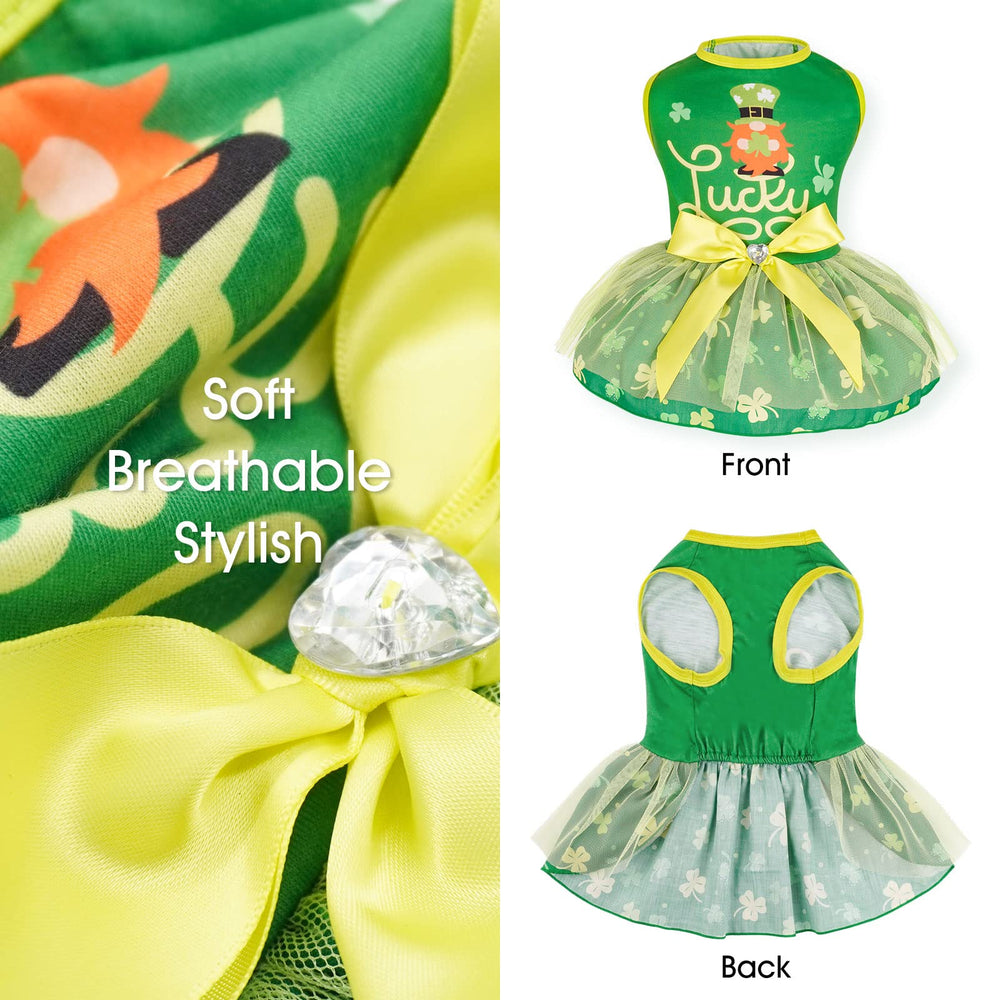 cyeollo perfecto para días festivos y paseos con tu mascota.