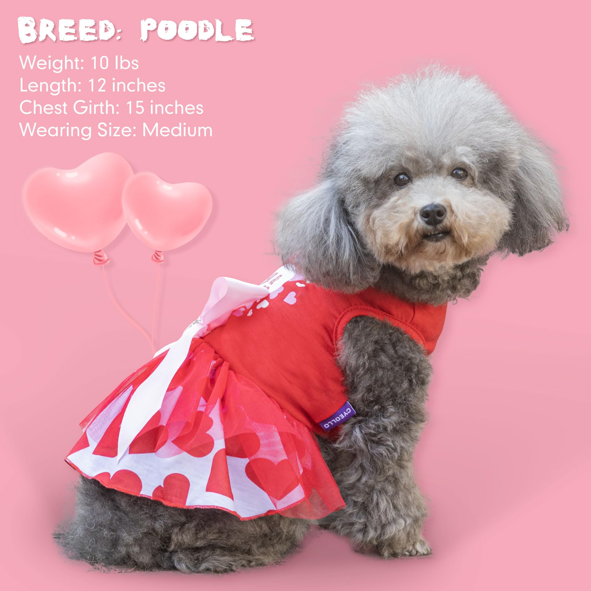 cyeollo talla S para perros pequeños como chihuahua o pomerania