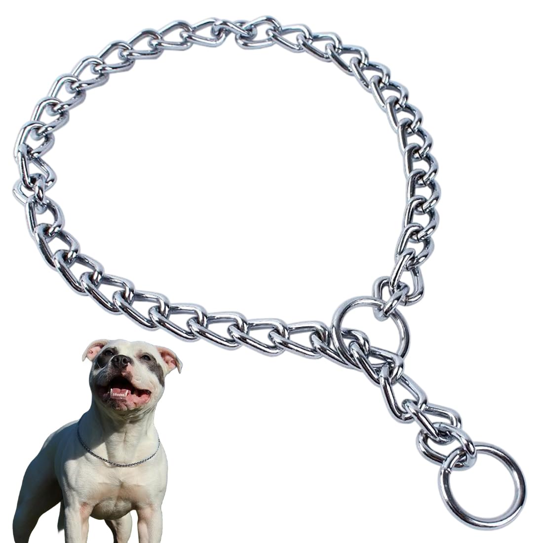 Cyhaen collar de cadena XL visto de frente para entrenamiento suave