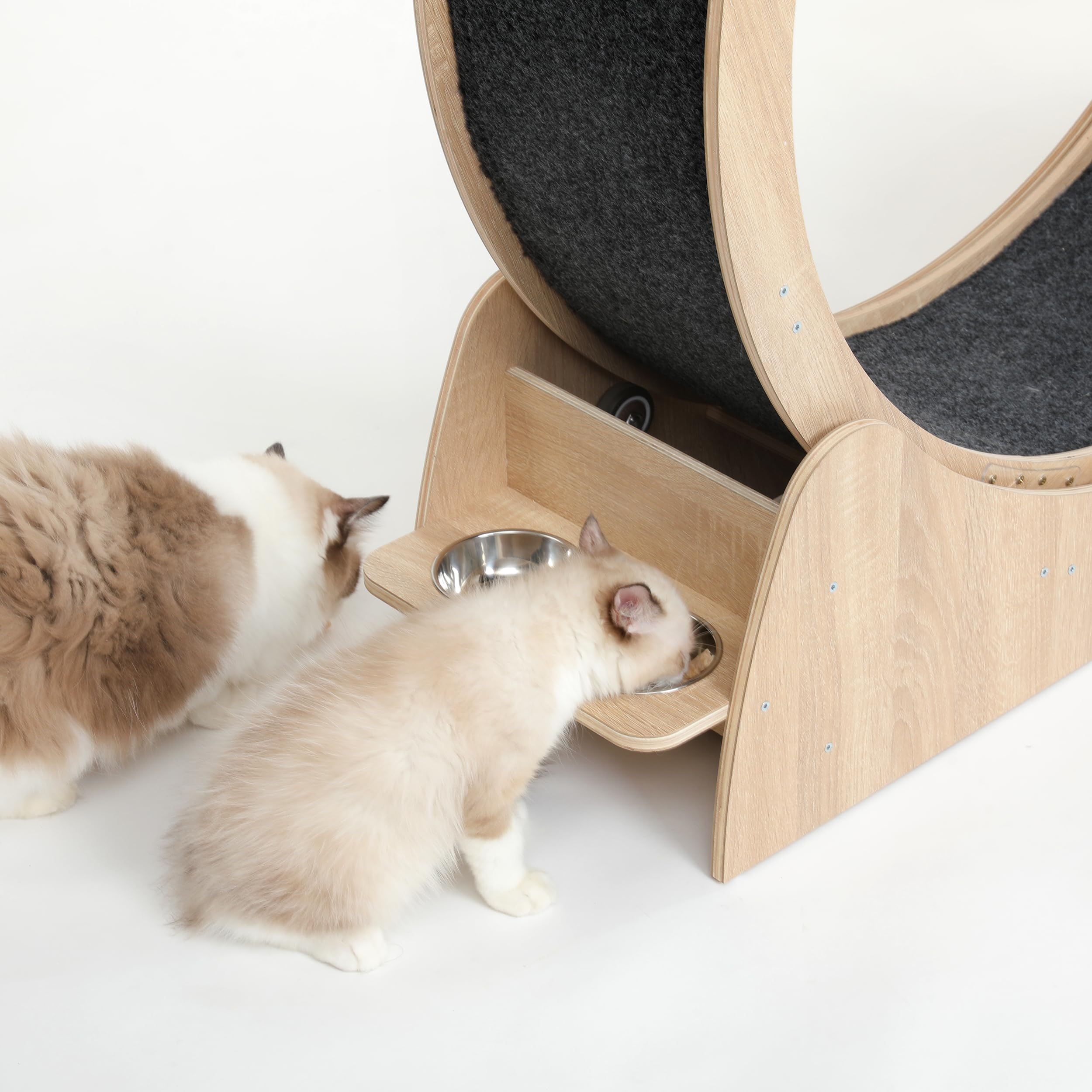 CYlively diseno-madera-amigable-para-mascotas: estructura duradera y tacto agradable.
