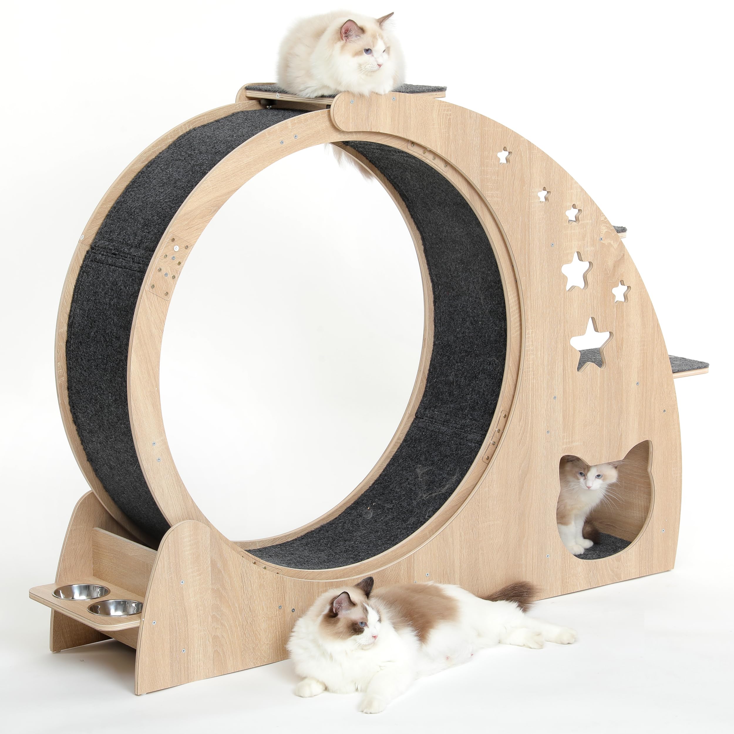 CYlively rueda-gato-peso-soportado-44-libras: apta para gatos de distintos tamaños.