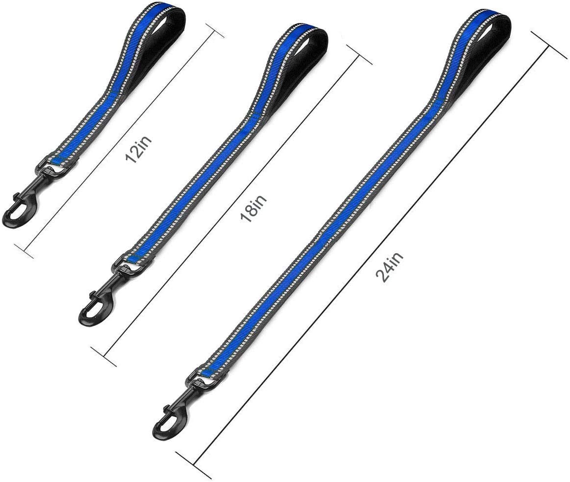 Cymiler, mantiene al perro a tu lado con control cercano en calles concurridas.