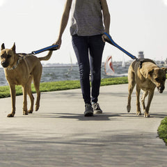 Cymiler, gancho giratorio 360 para control suave en salidas.