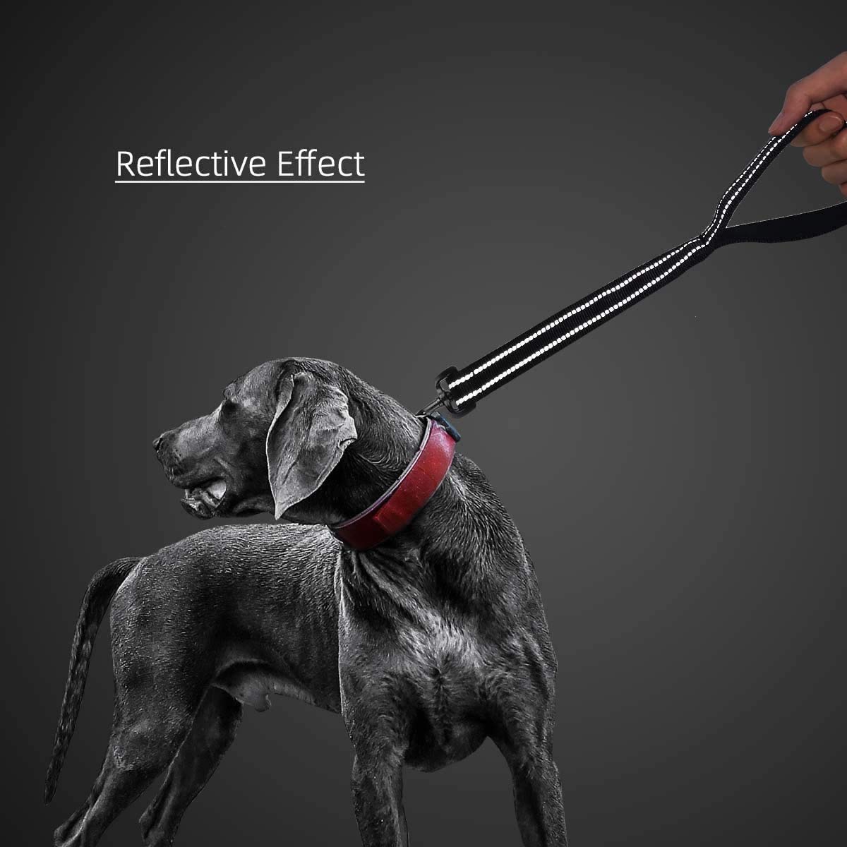 Cymiler, ideal para paseos nocturnos o entrenamiento ligero al aire libre.