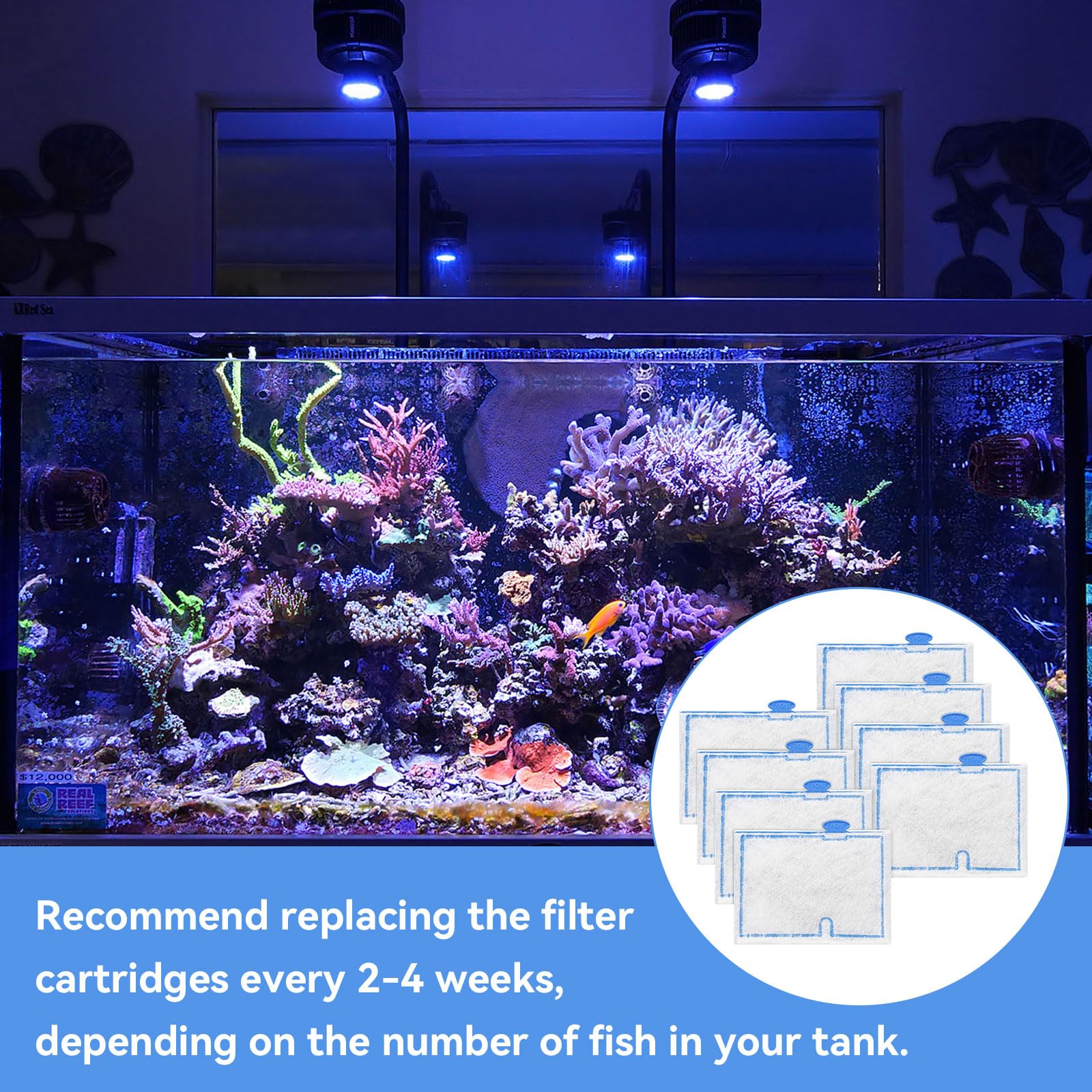 Reemplazo recomendado cada 2-4 semanas con Czarixa para acuario saludable.