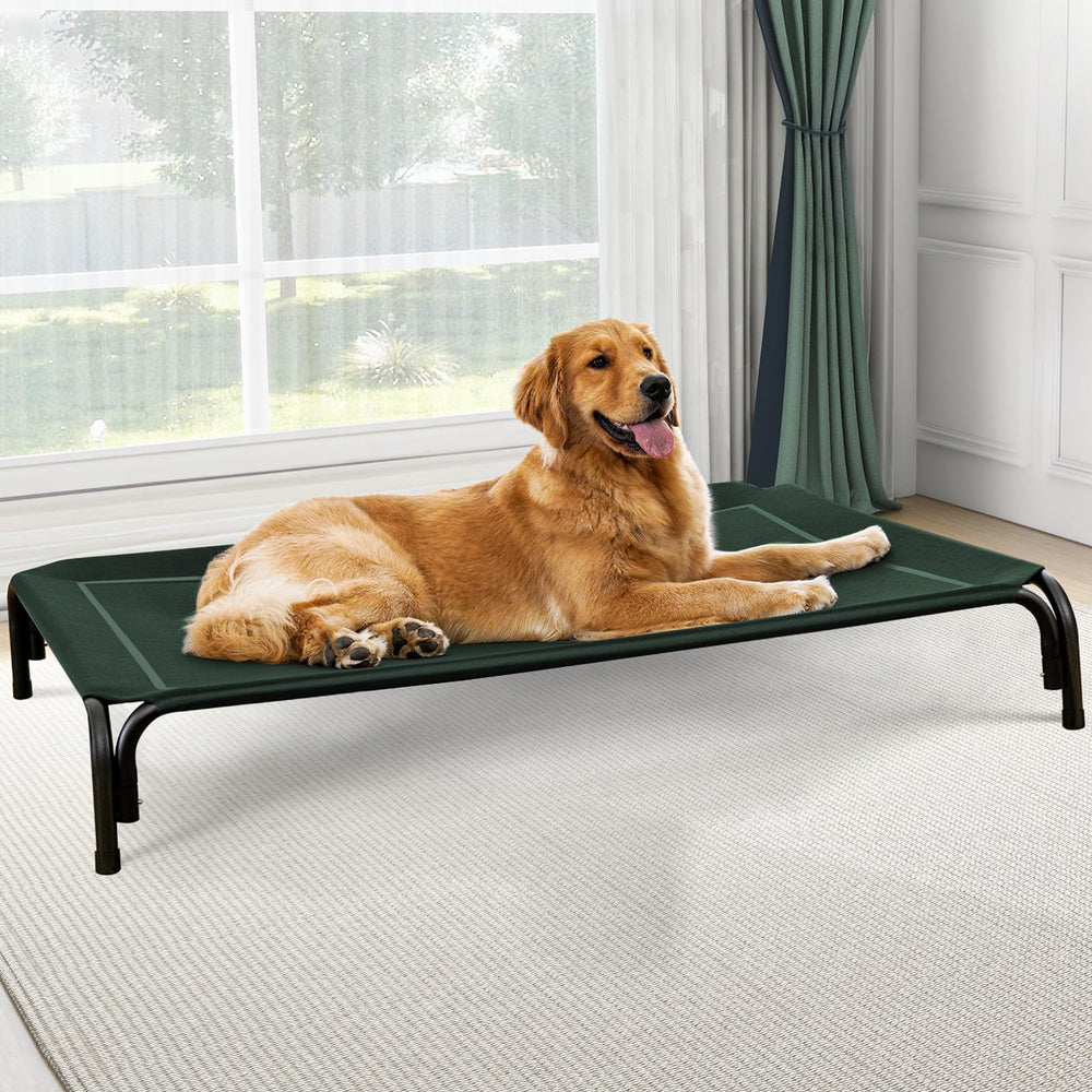 Czpalo Cama Elevada para Perros exterior-interior ofrece descanso cómodo y seguro al aire libre.