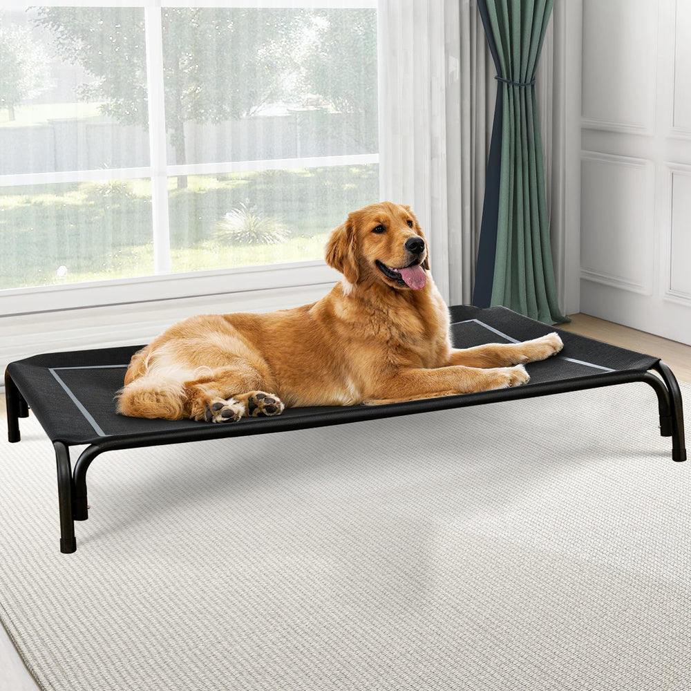 Czpalo cama elevada para perro exterior: descanso fresco al aire libre