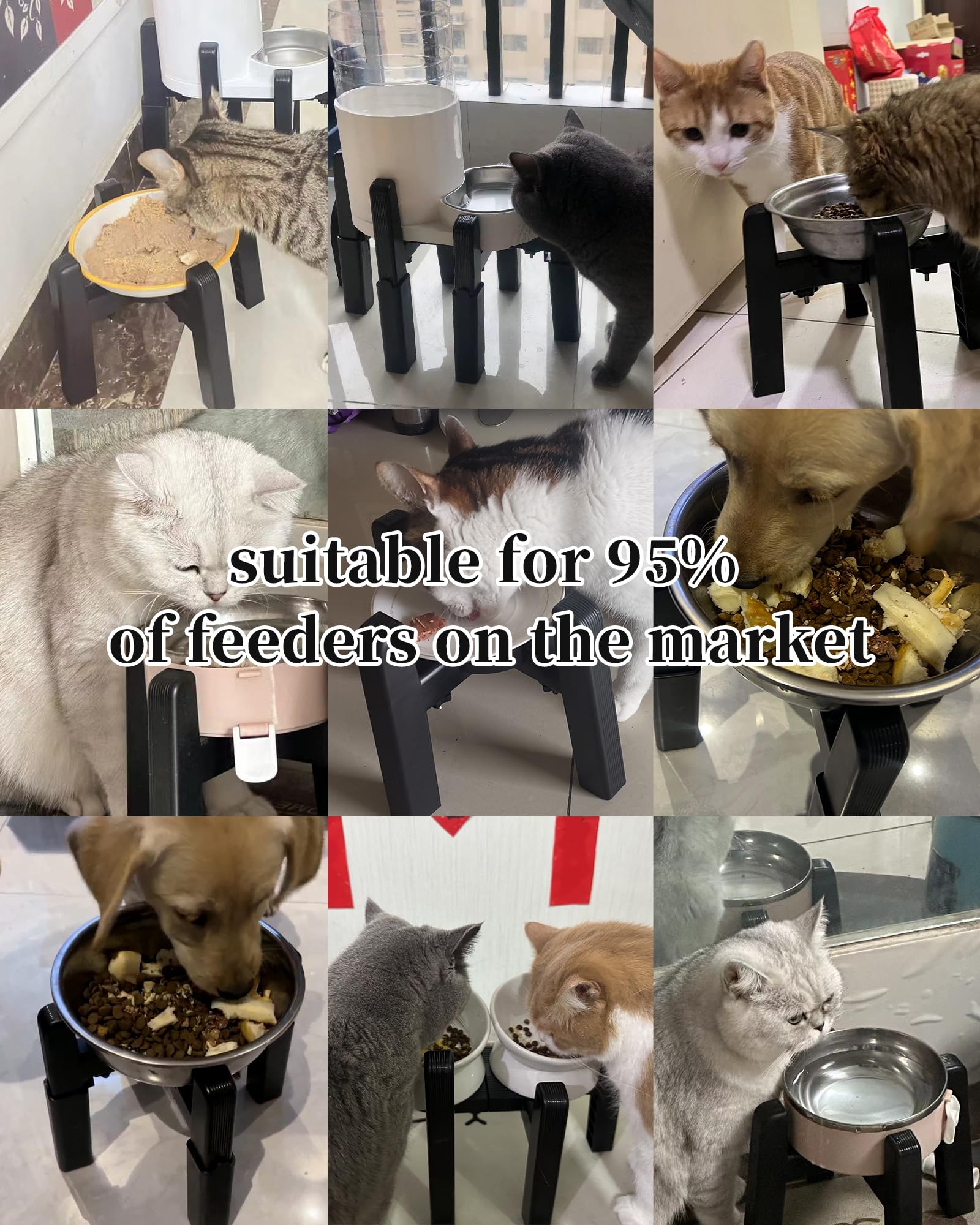 CZPET protege el cuello de perros grandes al comer y beber
