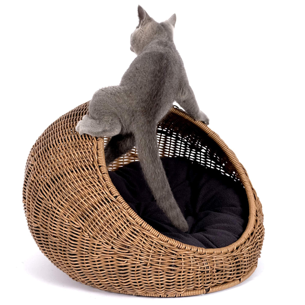 D+GARDEN cama-gato-wicker-domo-moderno: refugio cómodo para interiores.