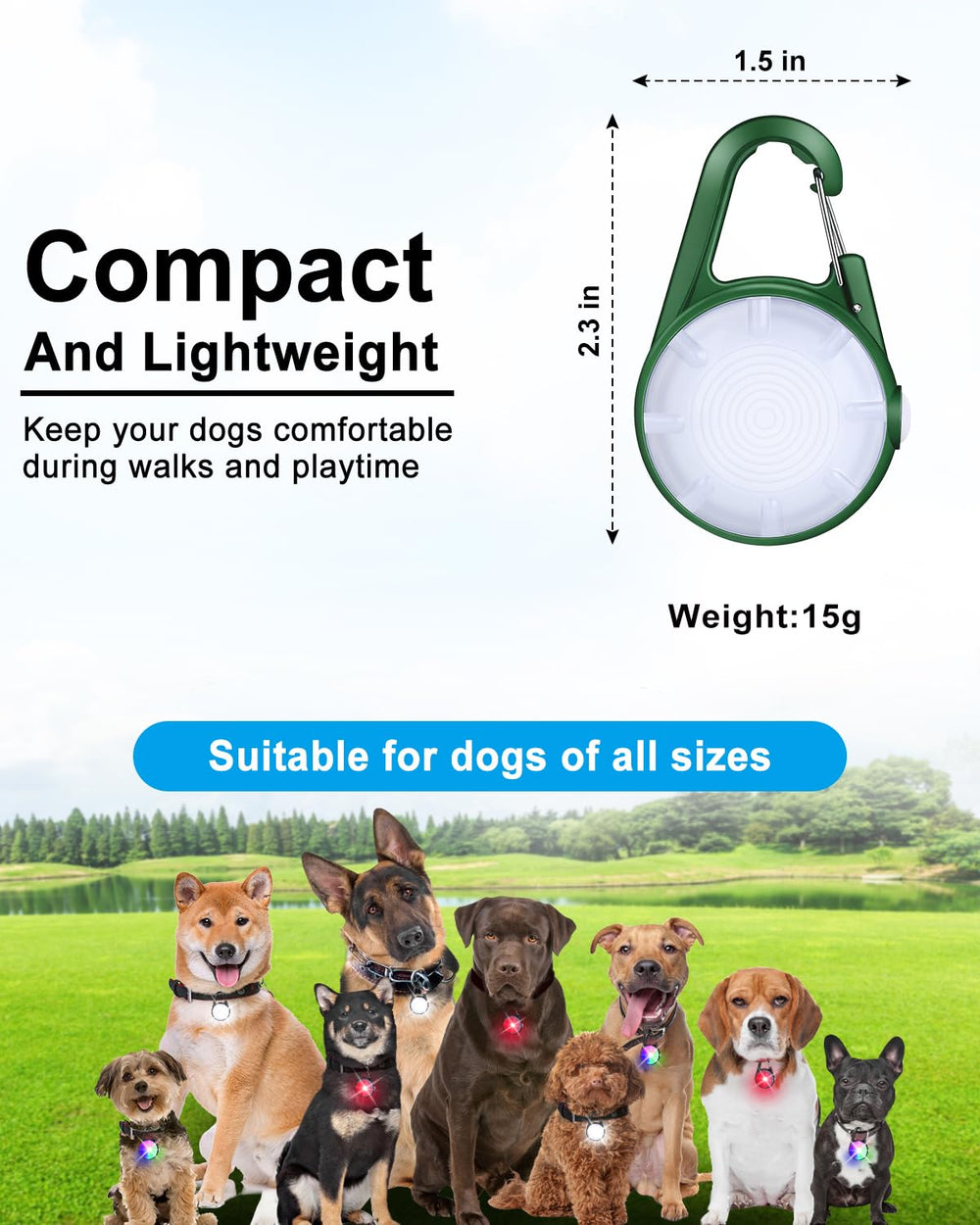 DAAMENT collar luz perro batería recargable con carga rápida