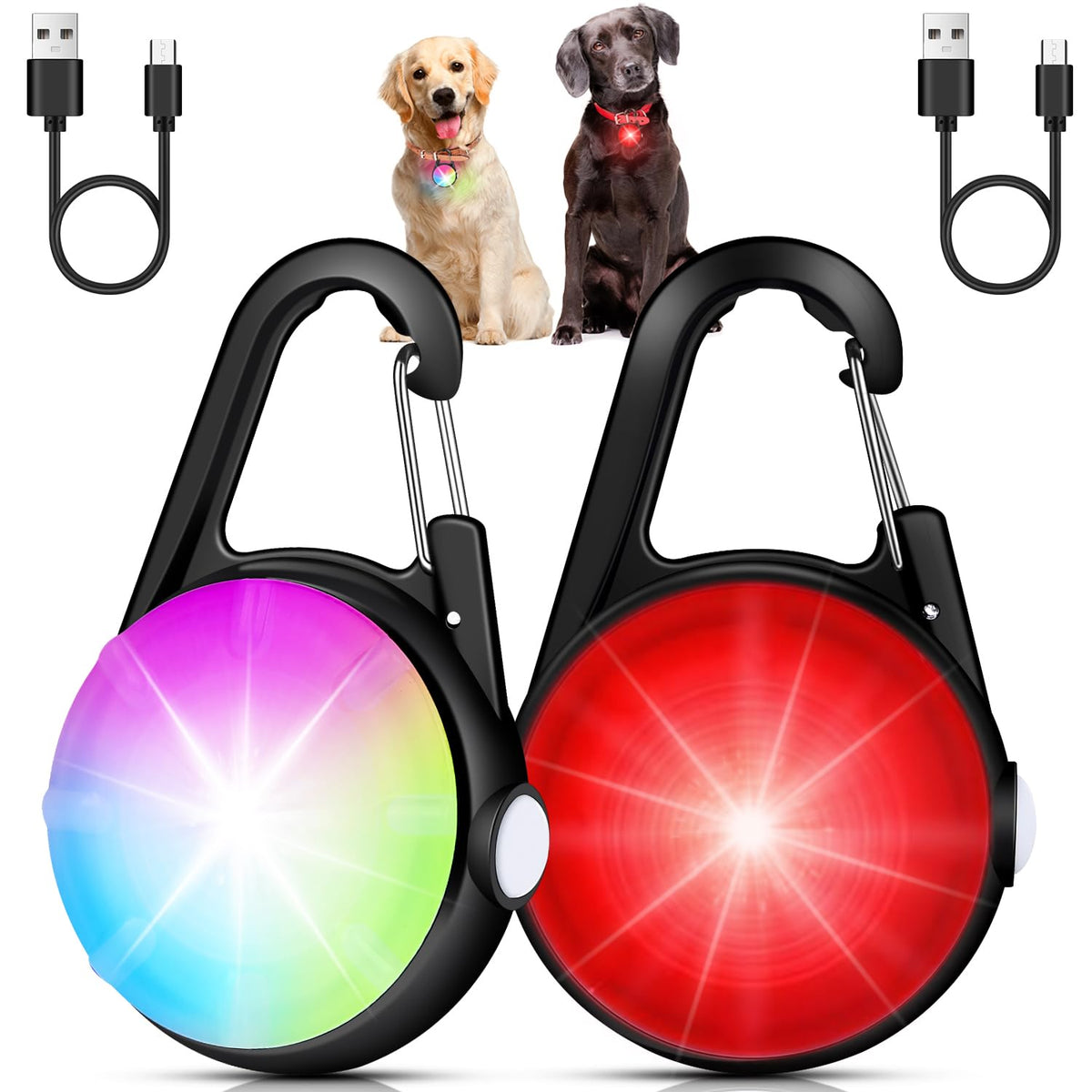 DAAMENT luz de collar para perro con brillo alto para visibilidad nocturna.
