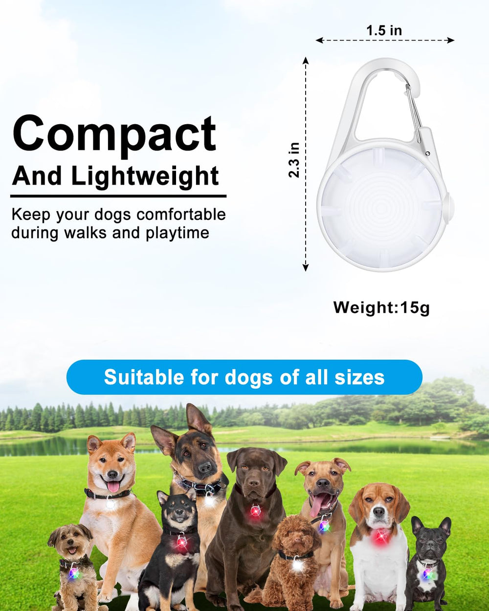 DAAMENT: luz de collar con clip seguro para perros de todos tamaños.