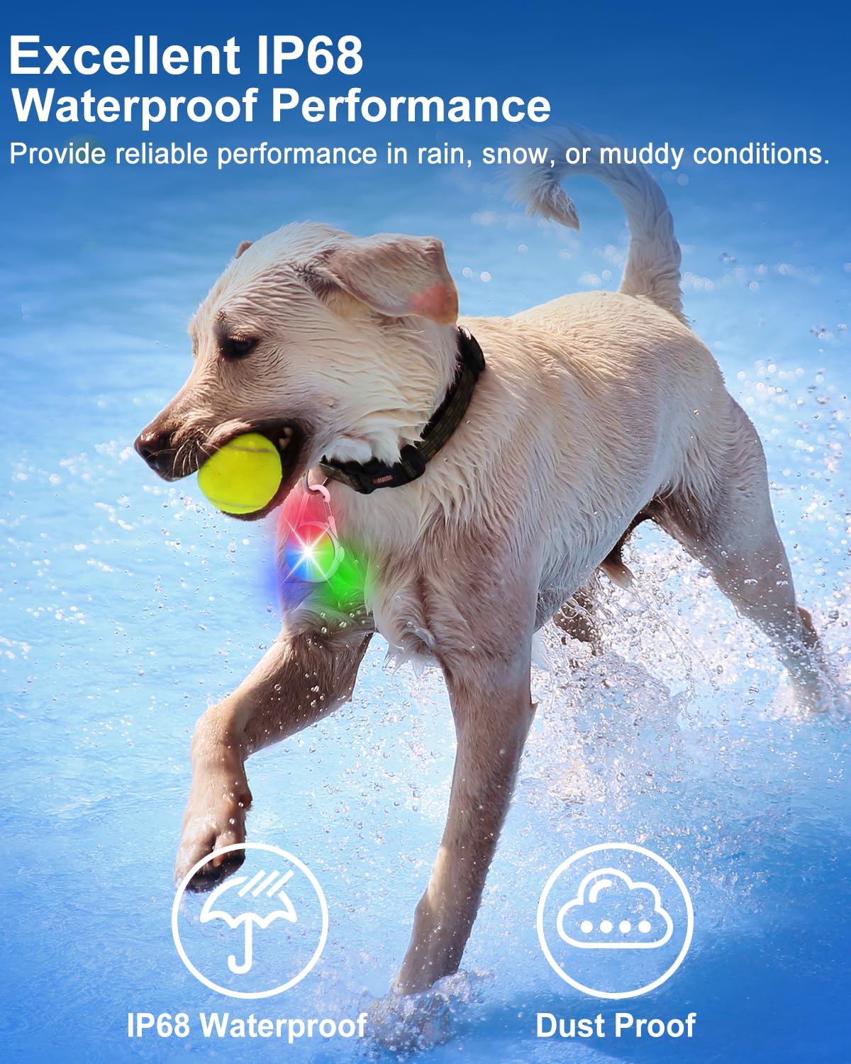 DAAMENT: luz para collar impermeable, ideal para lluvia y nieve.