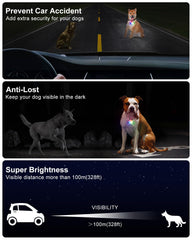 DAAMENT luz para collar, diseño ligero que no incomoda durante caminatas vespertinas.