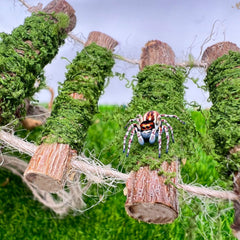 Daerky accesorio tanque araña pequeño, embellece el terrario y ofrece entretenimiento