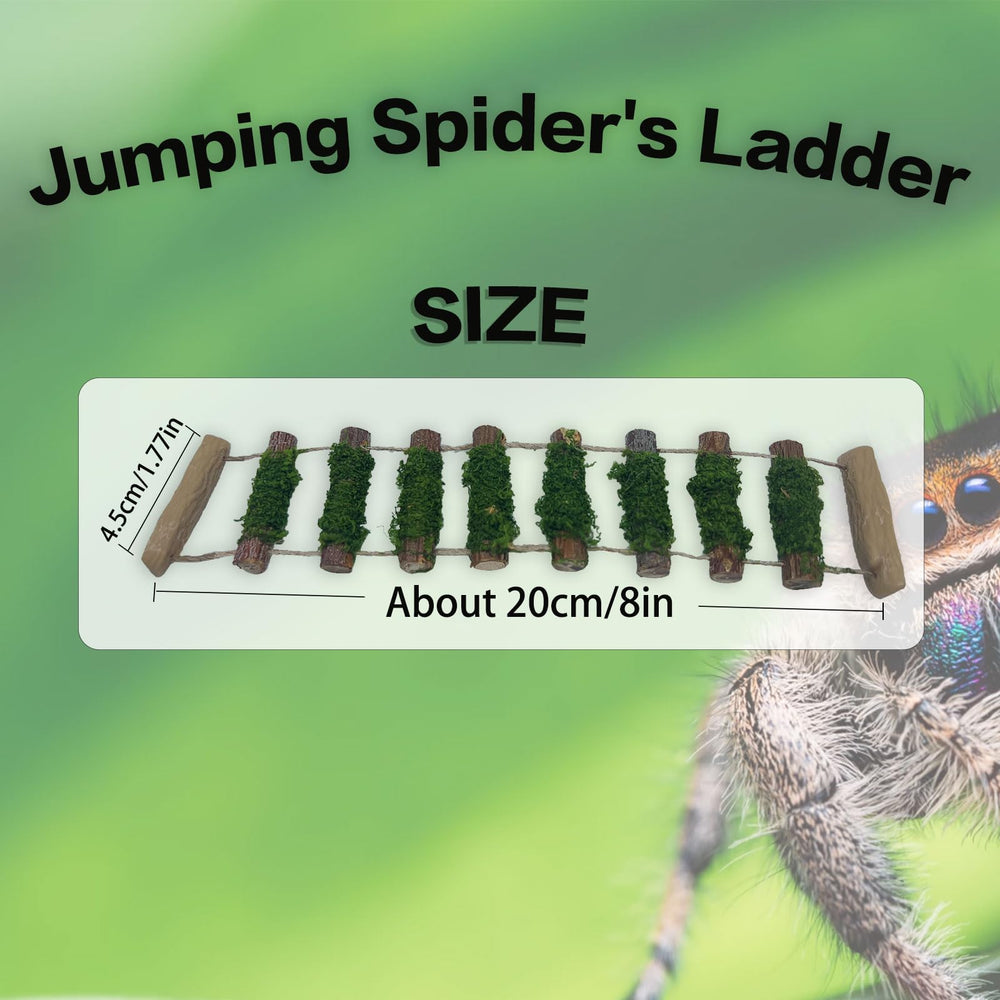 Daerky plataforma salto araña, plataforma amplia para jugar