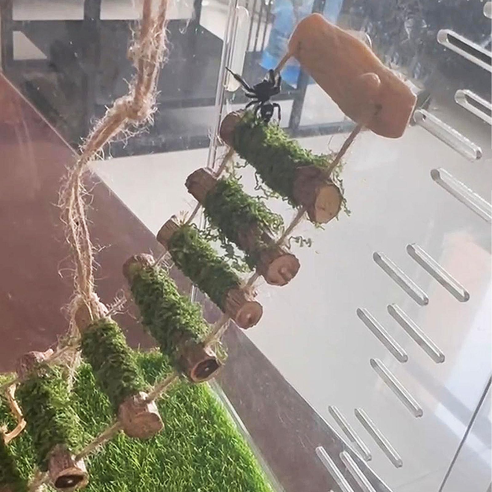 Daerky sistema magnético fijación araña, instalación sencilla sin afectar la estética