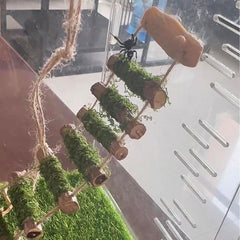 Daerky sistema magnético fijación araña, instalación sencilla sin afectar la estética