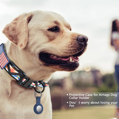 DAGANXI collar con asa de control para entrenamiento diario