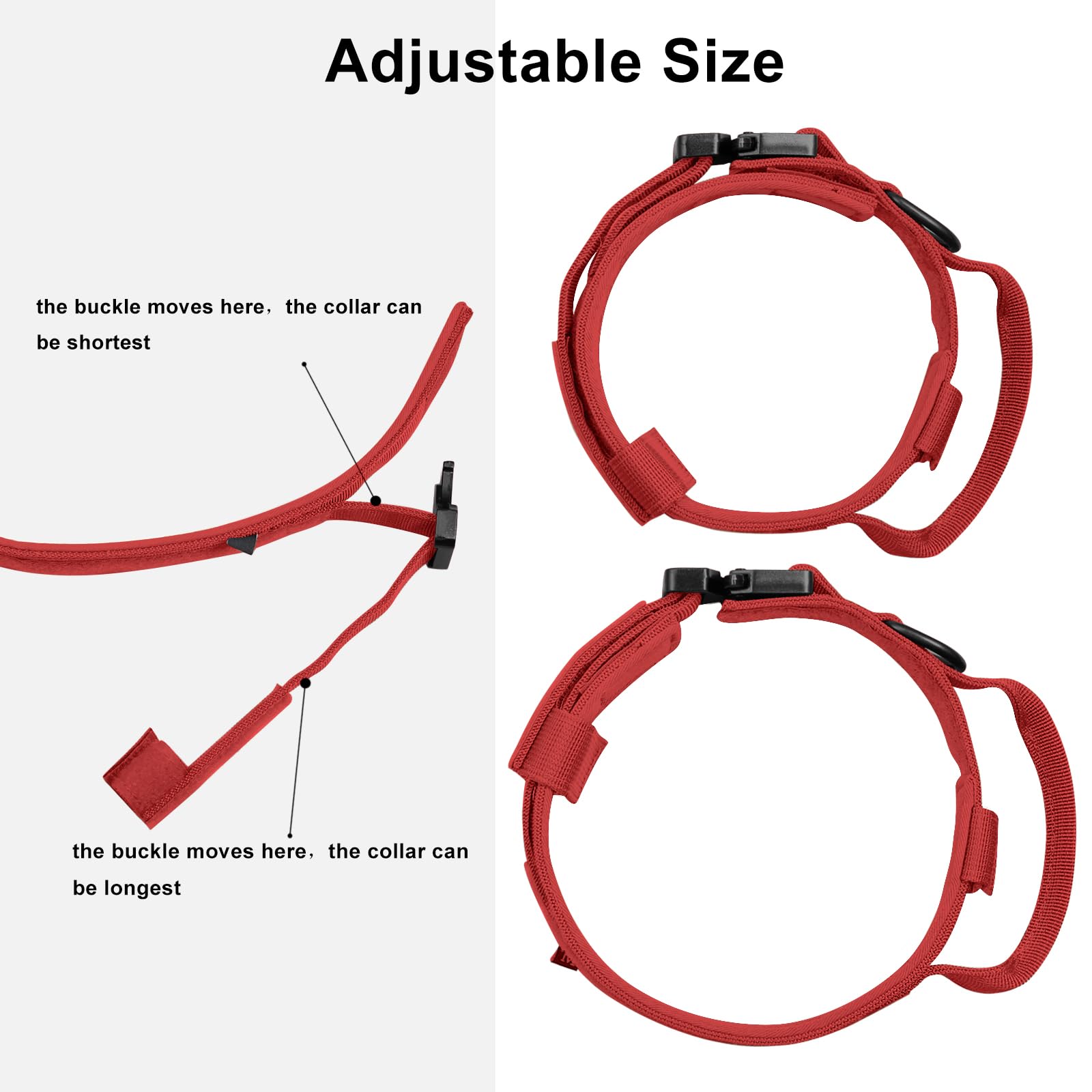DAGANXI collar táctico con funda protectora para localizador.