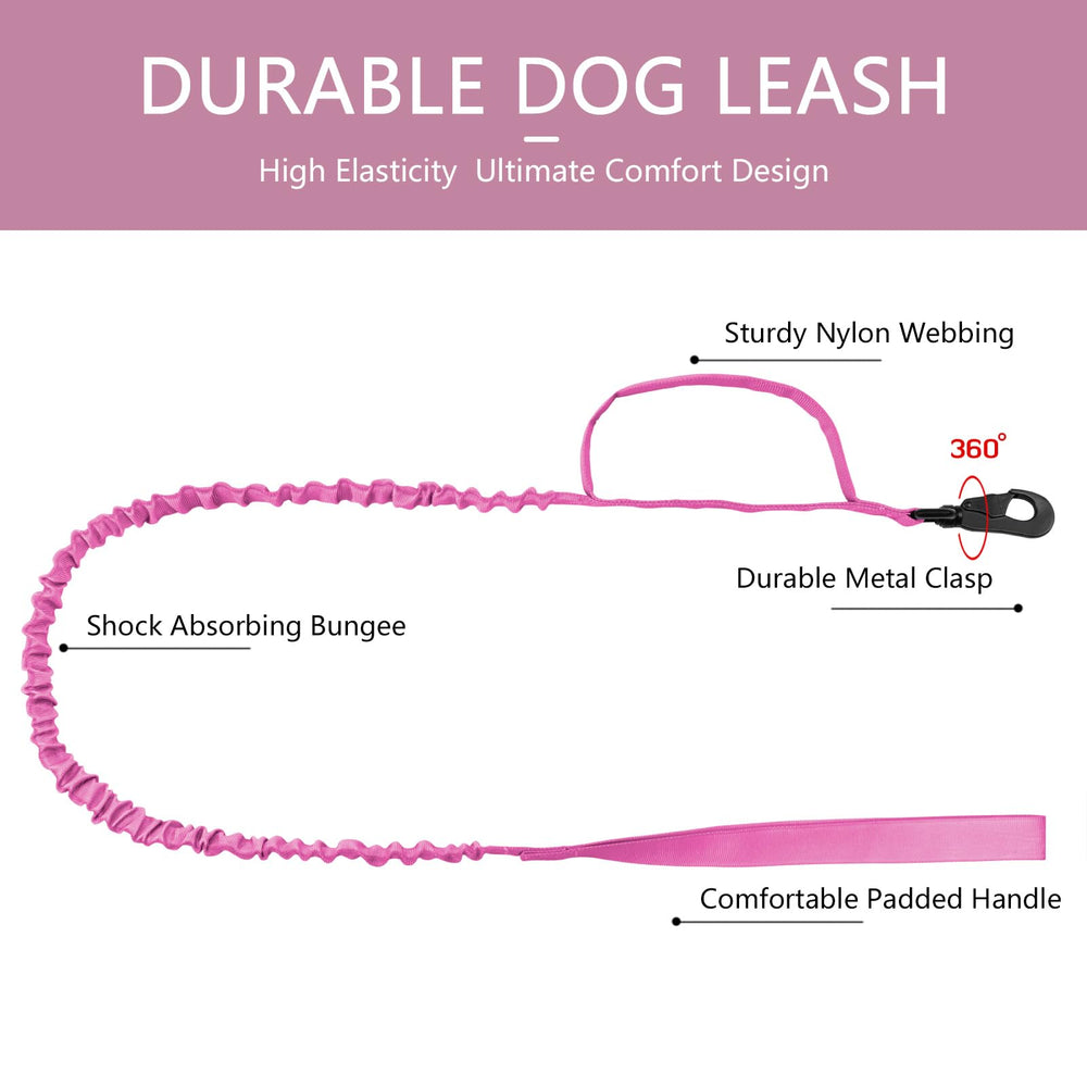Hebilla de metal duradera y segura para collar DAGANXI.