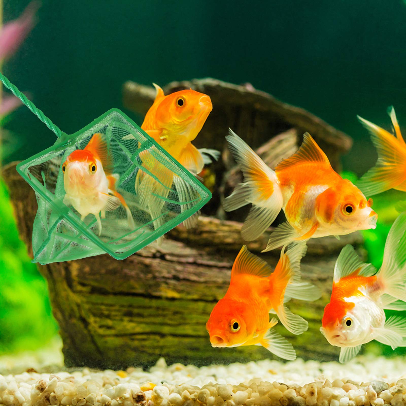 DAGUANZHI red para acuario, útil para retirar residuos y depuración del tanque.